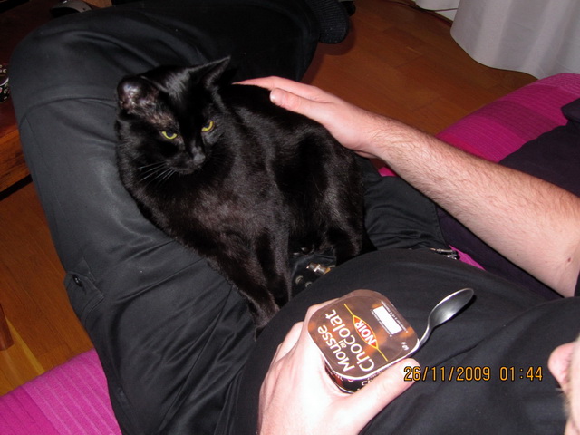 2009-12-13 Guitar Hero 3 Arcade_l.jpg